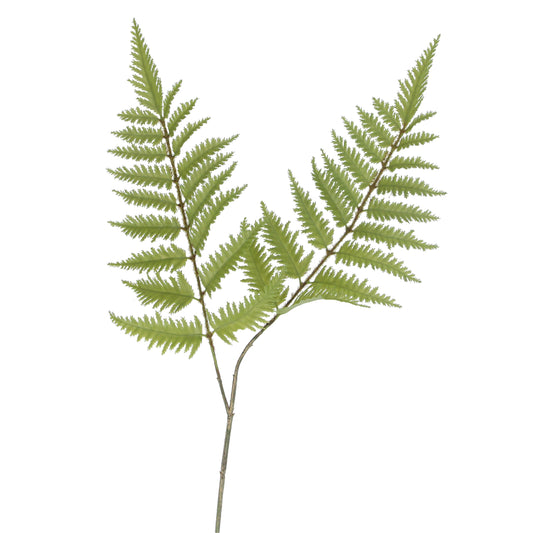 Faux Fern